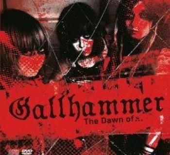 Gallhammer