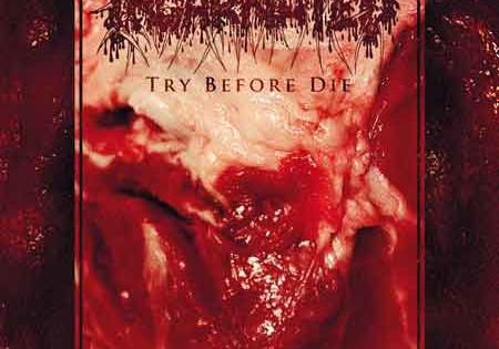 Incarnated - Try Before Die